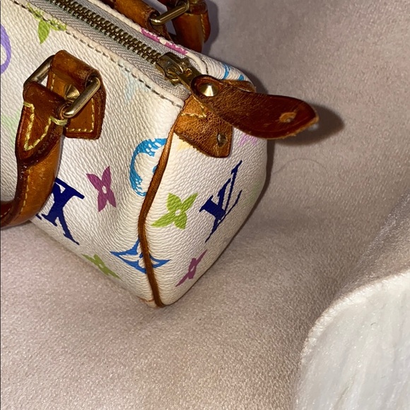 Louis Vuitton speedy multicolor mini bag - Picture 14 of 15